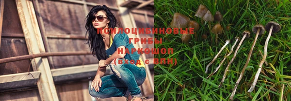 ECSTASY Абинск
