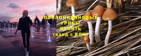 эйфоретик Михайловск