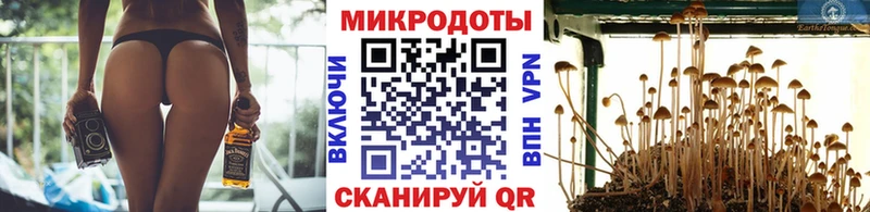 ссылка на мегу вход  как найти закладки  Щёлкино  Псилоцибиновые грибы Magic Shrooms 